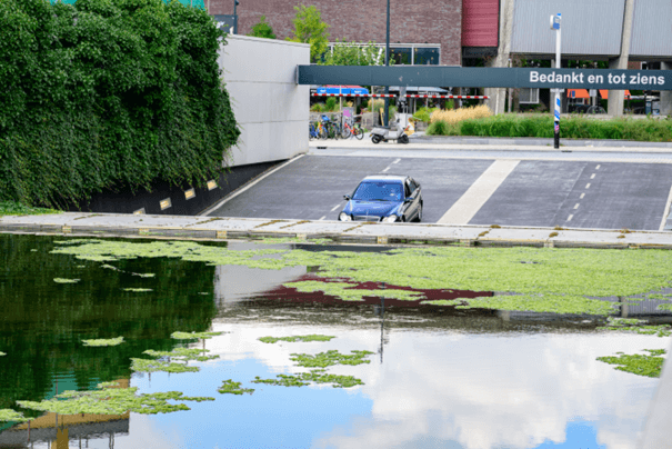 Stichtingrioned 20230823 RK 25 Fotograaf Michelle Muus